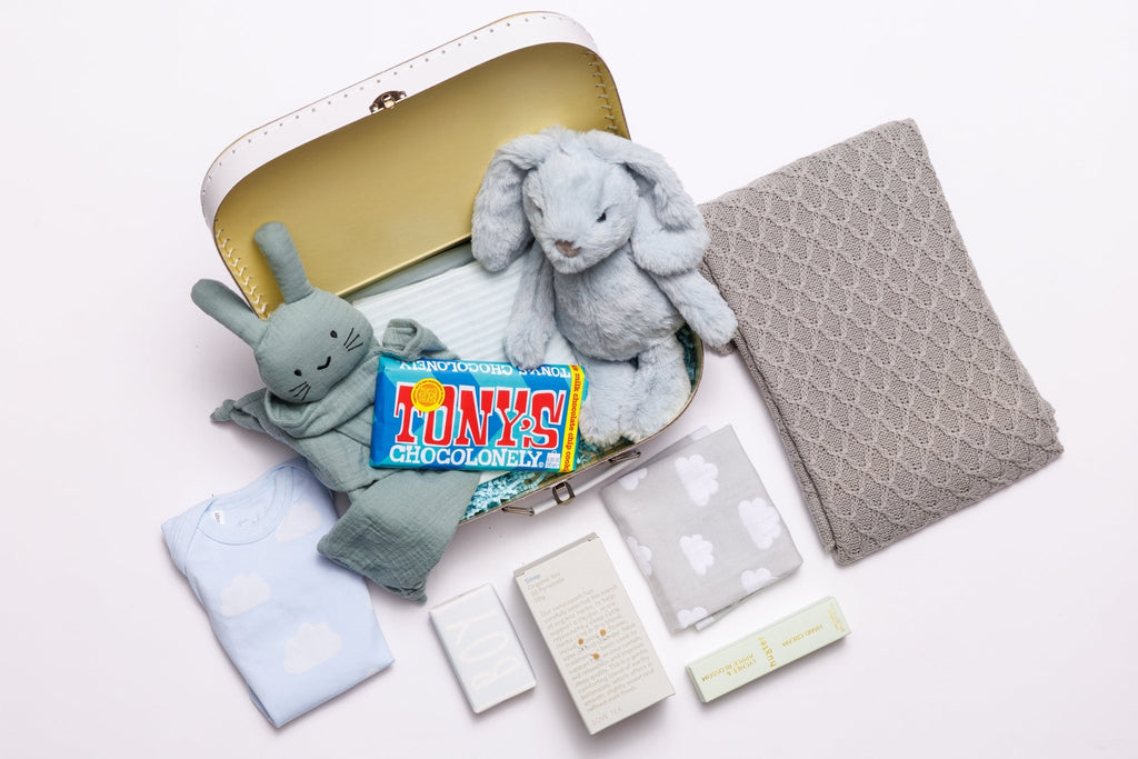Baby Boy Essentials Kit - The It Kit