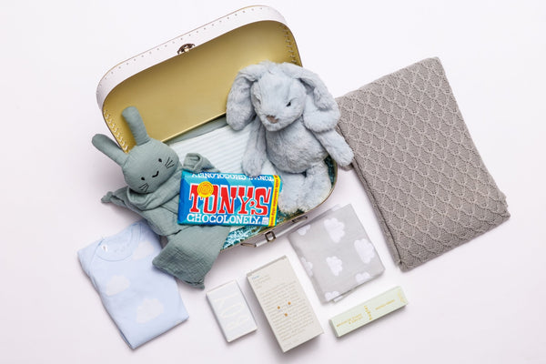 Baby Boy Essentials Kit - The It Kit