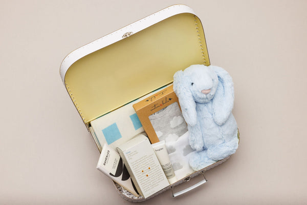 Luxury Baby Boy Kit - The It Kit